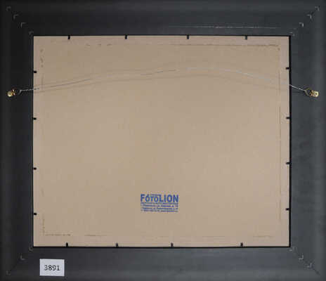 Барто Ростислав Николаевич. Кавказ. Лето